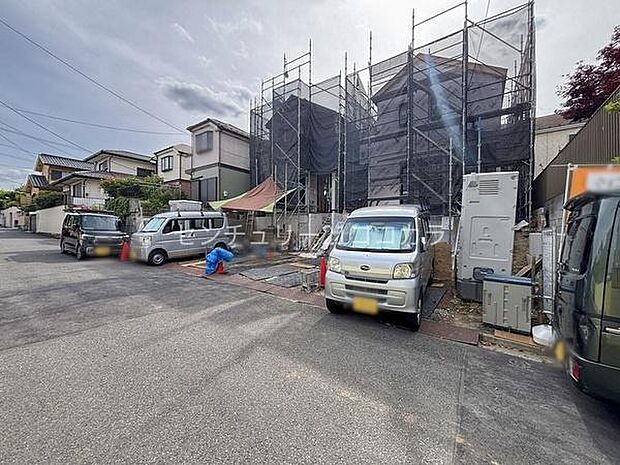 2026年5月25日撮影