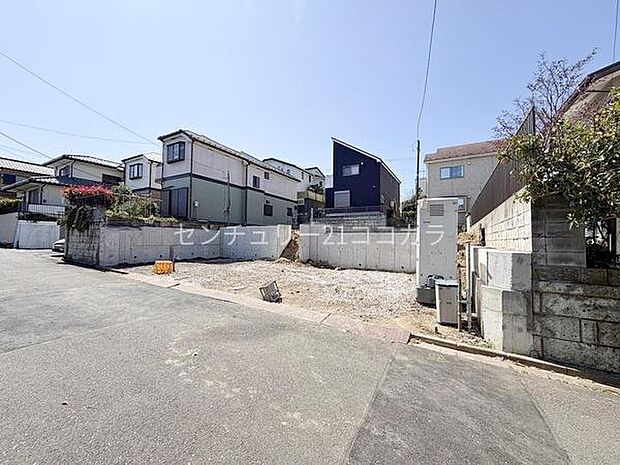 2026年4月3日撮影