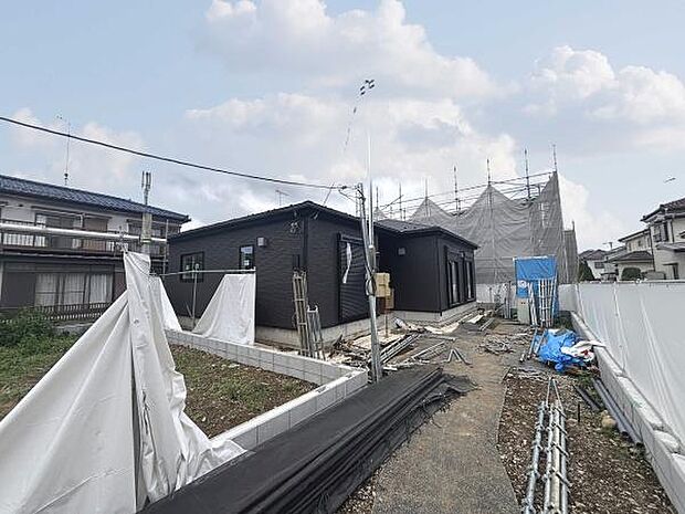 2026年6月5日撮影