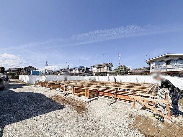 2026年4月3日撮影