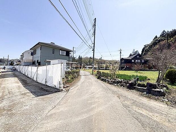 2026年4月3日撮影