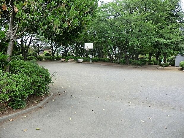 めじろ台南公園まで559m