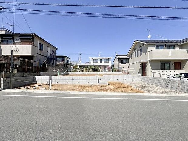 2026年4月3日撮影