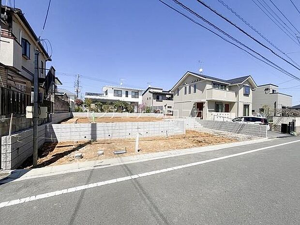 2026年4月3日撮影