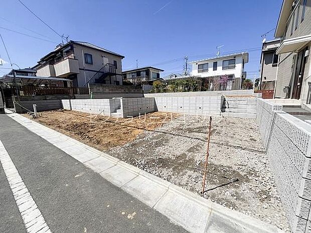 2026年4月3日撮影