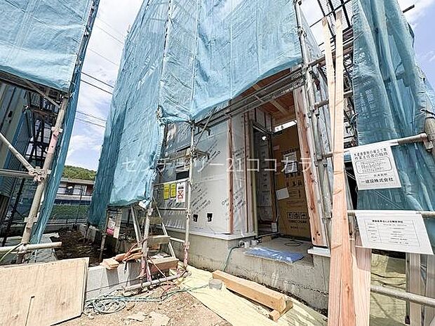 2026年5月14日撮影