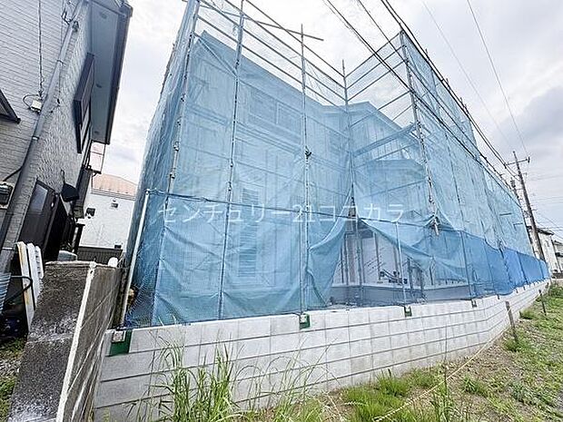 2026年5月14日撮影