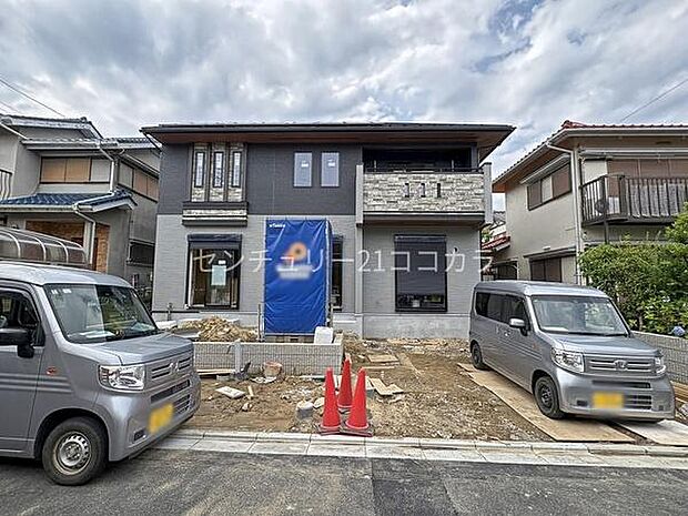 2026年6月19日撮影