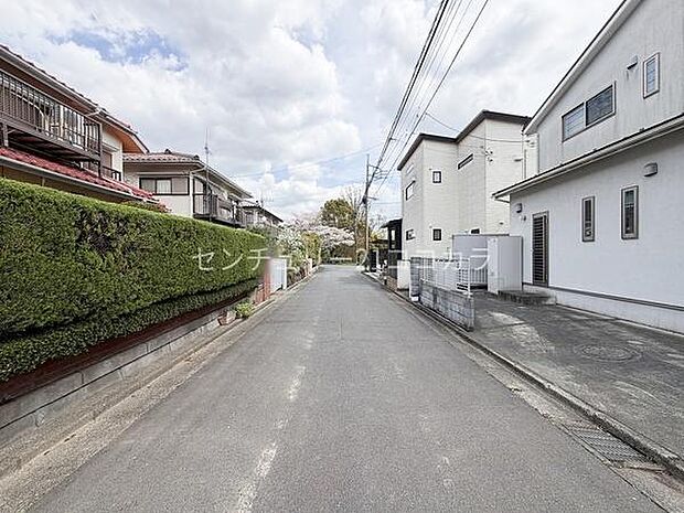 2026年4月6日撮影