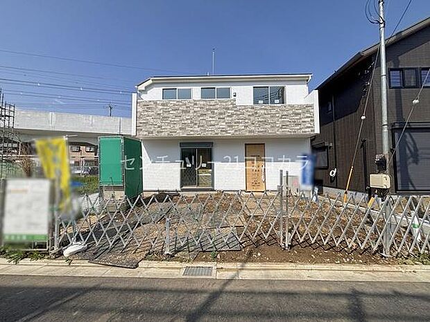 2026年3月28日撮影