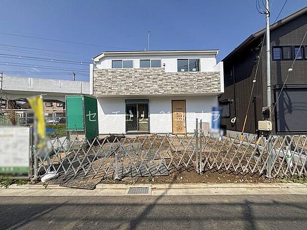 2026年3月28日撮影