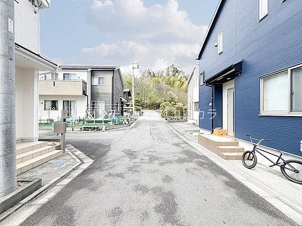 前面道路を含む現地写真