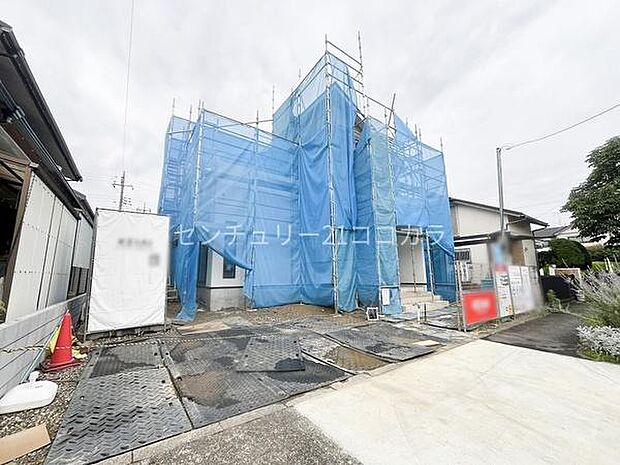 2026年7月6日撮影