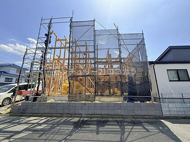 2026年4月11日撮影