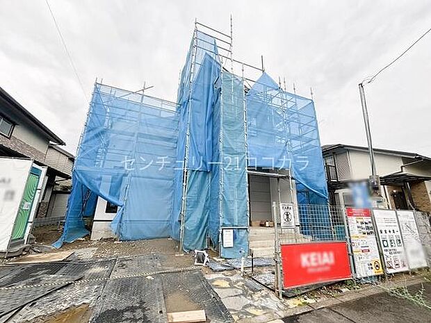 2026年7月6日撮影