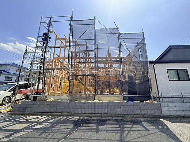 2026年4月11日撮影