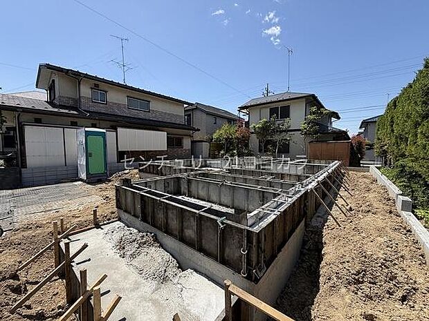 2026年5月10日撮影