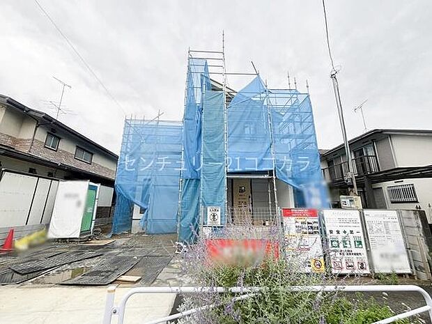 2026年7月6日撮影