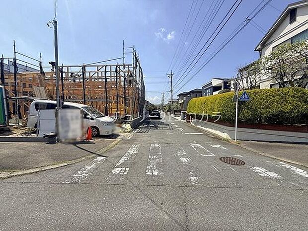 2026年4月11日撮影