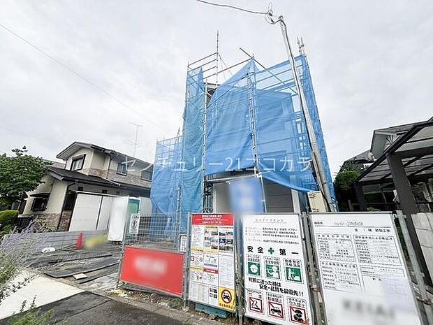 2026年7月6日撮影