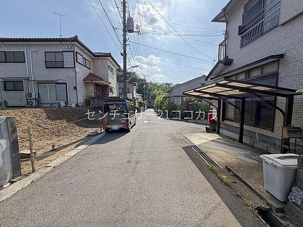 2026年5月15日撮影