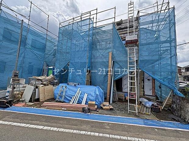 2026年6月19日撮影