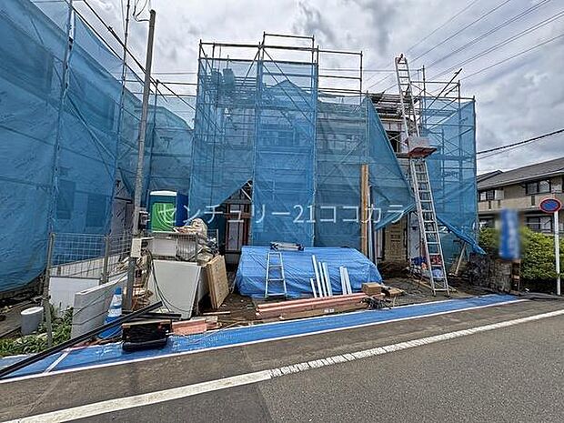 2026年6月19日撮影