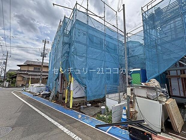 2026年6月19日撮影