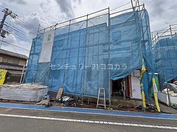 2026年6月19日撮影
