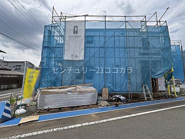 2026年6月19日撮影