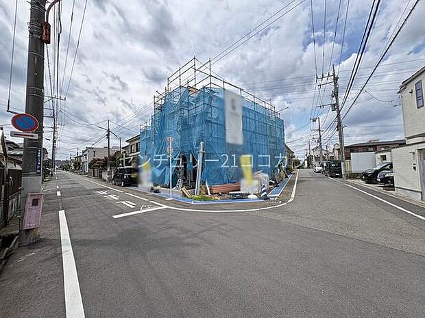 2026年6月19日撮影