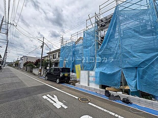 2026年6月19日撮影