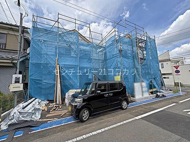 2026年6月19日撮影