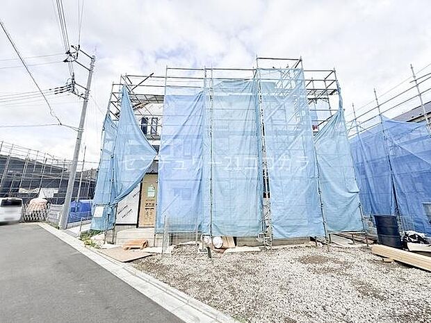 2026年6月8日撮影