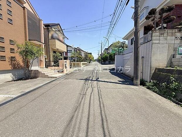 2026年5月2日撮影