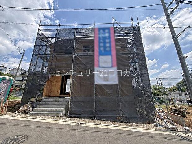 2026年6月19日撮影