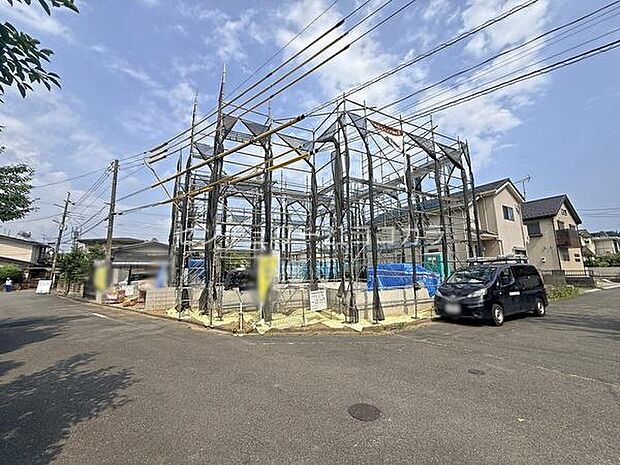 2026年7月24日撮影