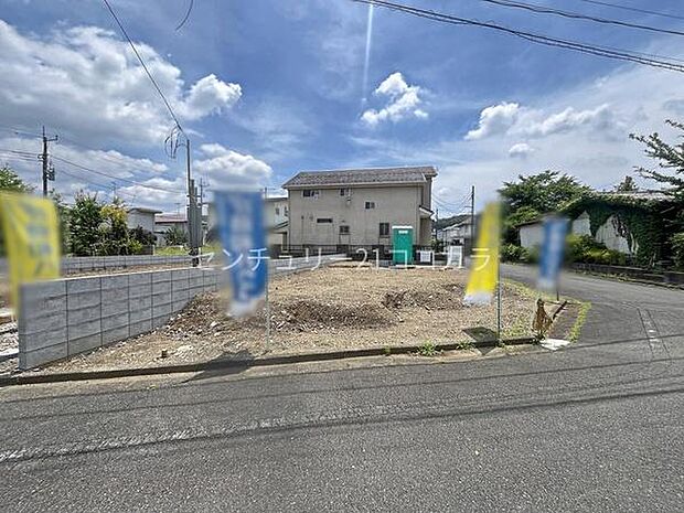 2026年6月19日撮影