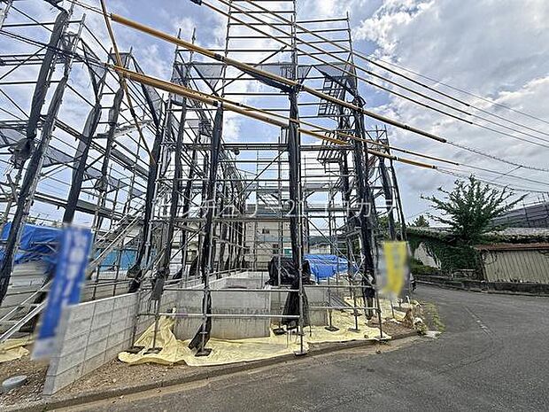 2026年7月24日撮影