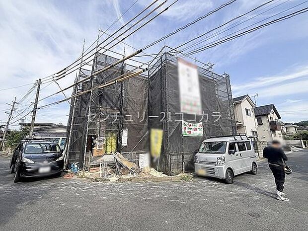 2026年8月20日撮影