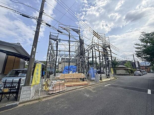 2026年7月24日撮影