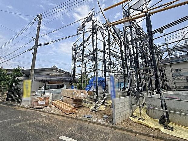2026年7月24日撮影