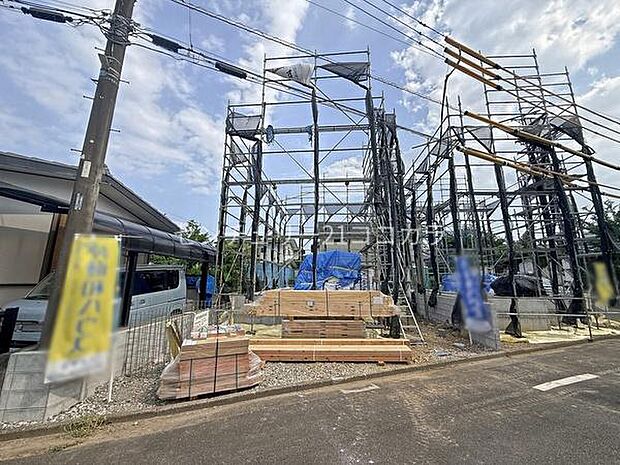 2026年7月24日撮影