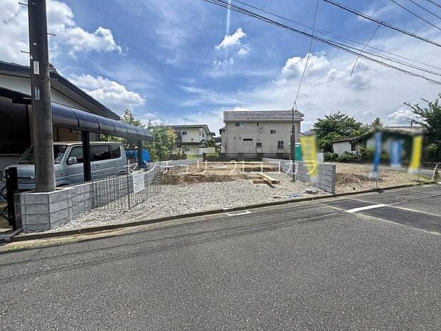 2026年6月19日撮影