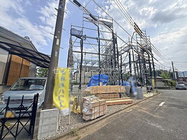 2026年7月24日撮影