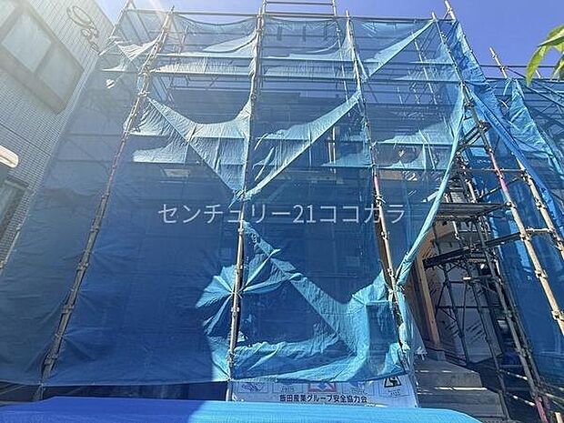 2026年5月11日撮影
