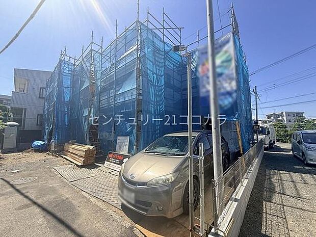 2026年5月11日撮影
