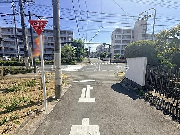 2026年5月11日撮影