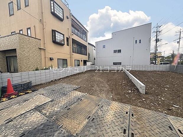 2026年6月4日撮影