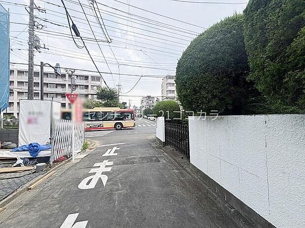 2026年7月23日撮影